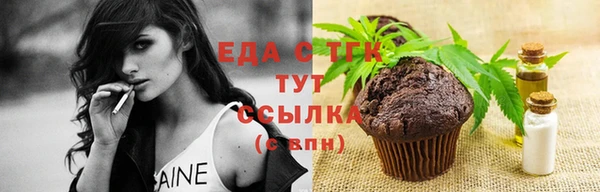 СК Новодвинск