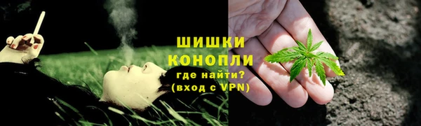 СК Новодвинск