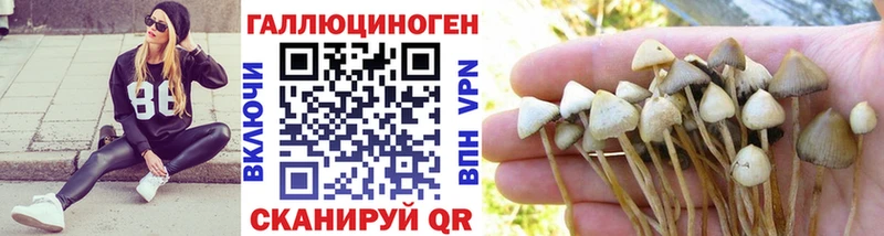 Псилоцибиновые грибы мицелий  МЕГА онион  Талдом  как найти  